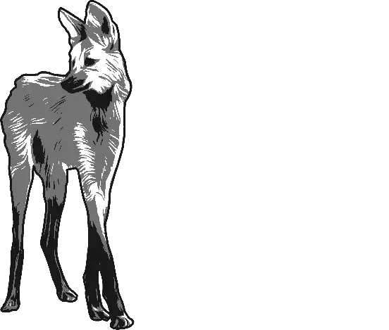 De Otro Cuento Films
